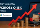 Koszt kliknięcia w Google Ads wzrósł o 15% rok do roku. E-commerce płaci więcej, ale zarabia mniej z reklam